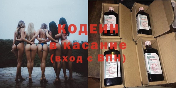 гашик Алексеевка